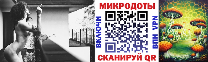 Псилоцибиновые грибы Cubensis  Щёлкино 